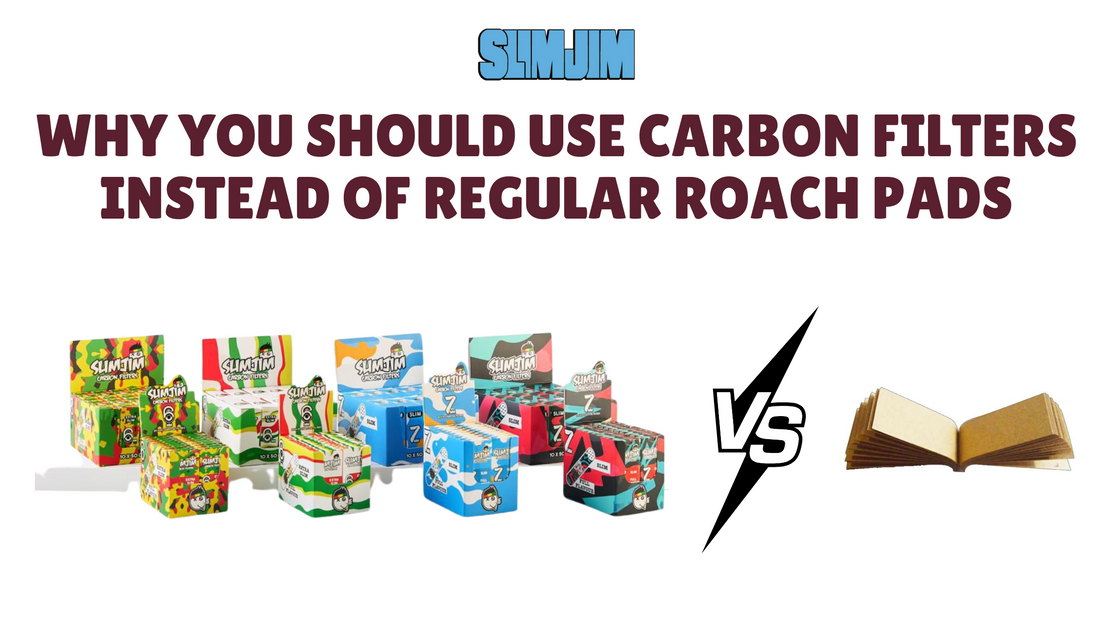 Why You Should Use Carbon Filters Instead of Regular Roach Pads