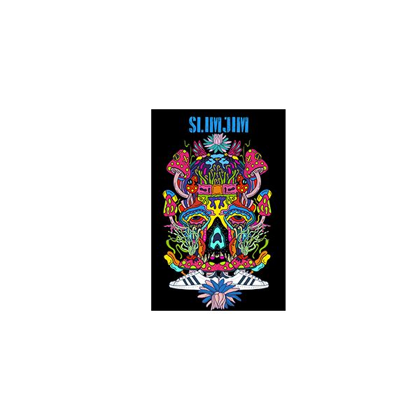 Buy Slimjim Sticker Pack - Skull Edition Stickers | Slimjim India