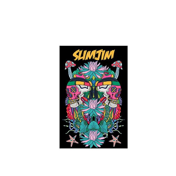 Buy Slimjim Sticker Pack - Skull Edition Stickers | Slimjim India